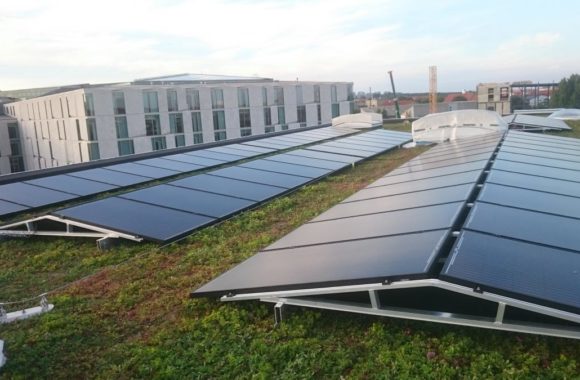 Zonnepanelen op sedum dak - Jual Solar